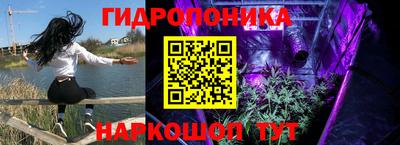 стаф Краснознаменск