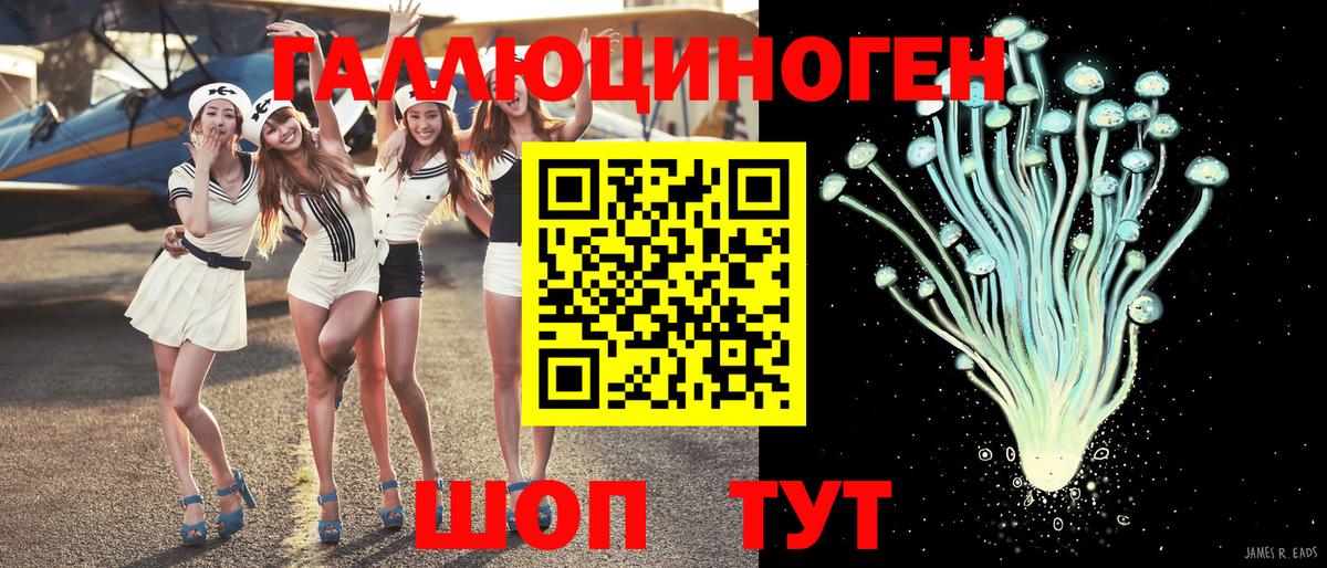 Псилоцибиновые грибы GOLDEN TEACHER  Вход с VPN  Качканар  Псилоцибиновые грибы Cubensis 
