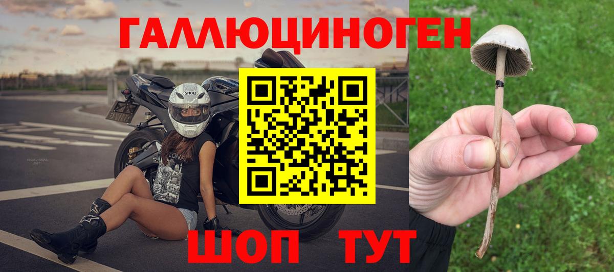 Галлюциногенные грибы Magic Shrooms Качканар